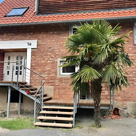 Komfortables Doppelzimmer In Kehl Goldscheuer - 1A Guesthouse Eksteriør billede
